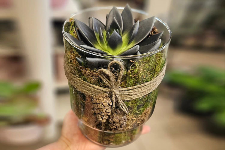 Images BLOMSTERBUA SELFORS AS