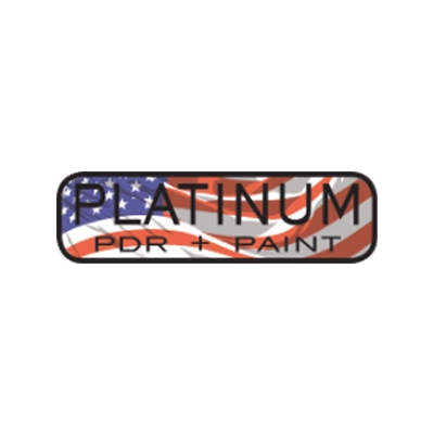 Platinum PDR Plus Paint