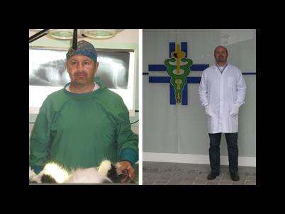 Images Ambulatorio Veterinario Dr. Marco Lorenzi