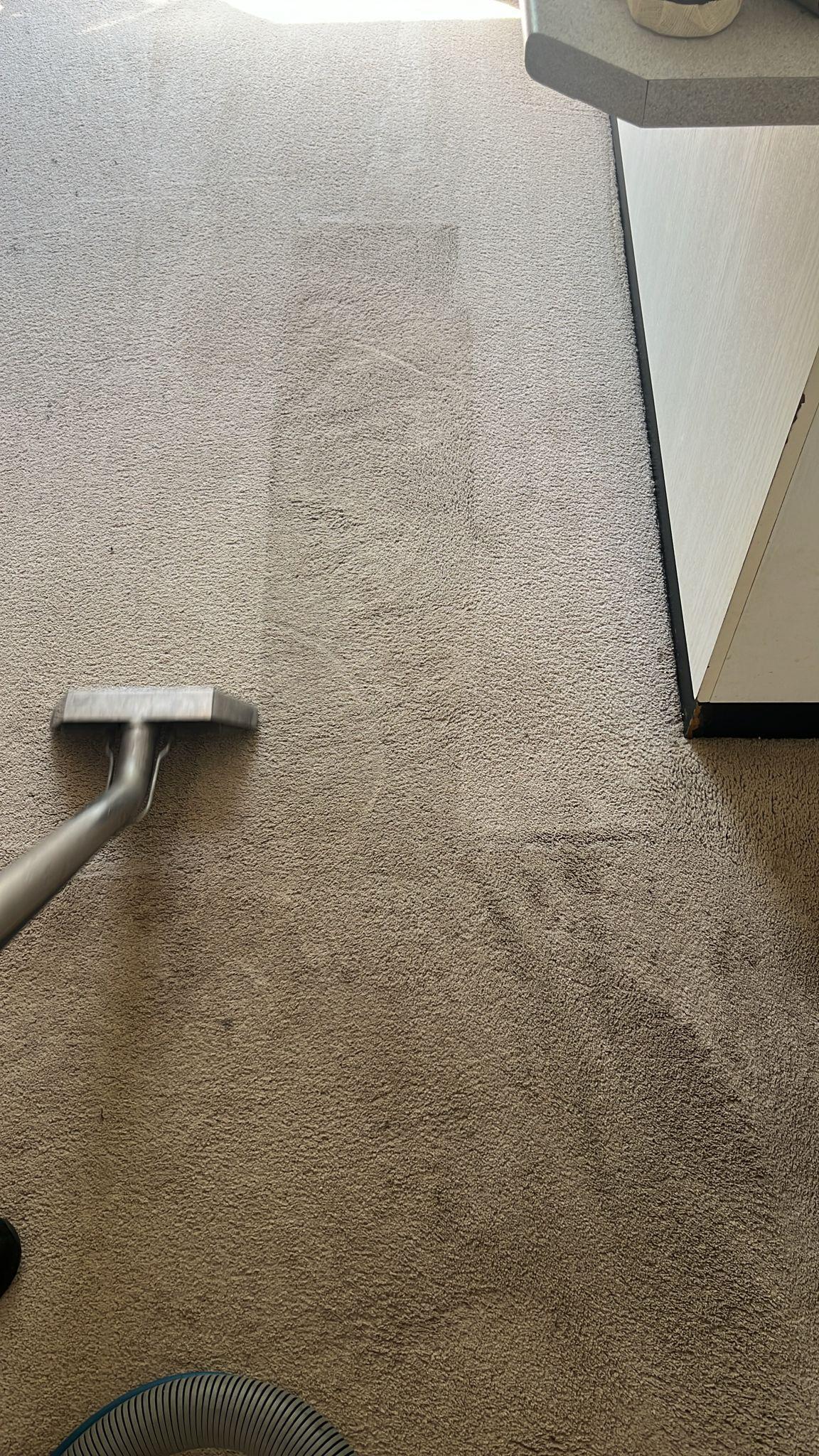 Images Butler Carpet Cleaning Sydney