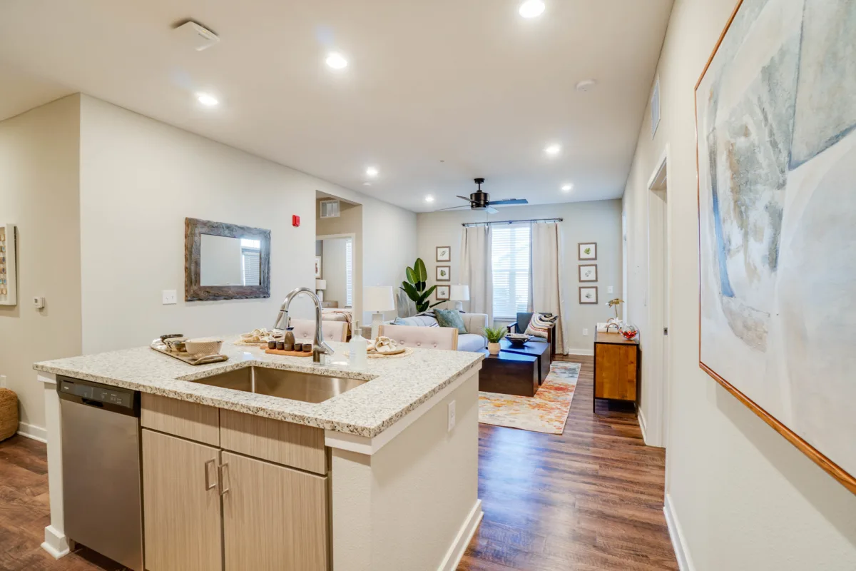 Kitchen and living room