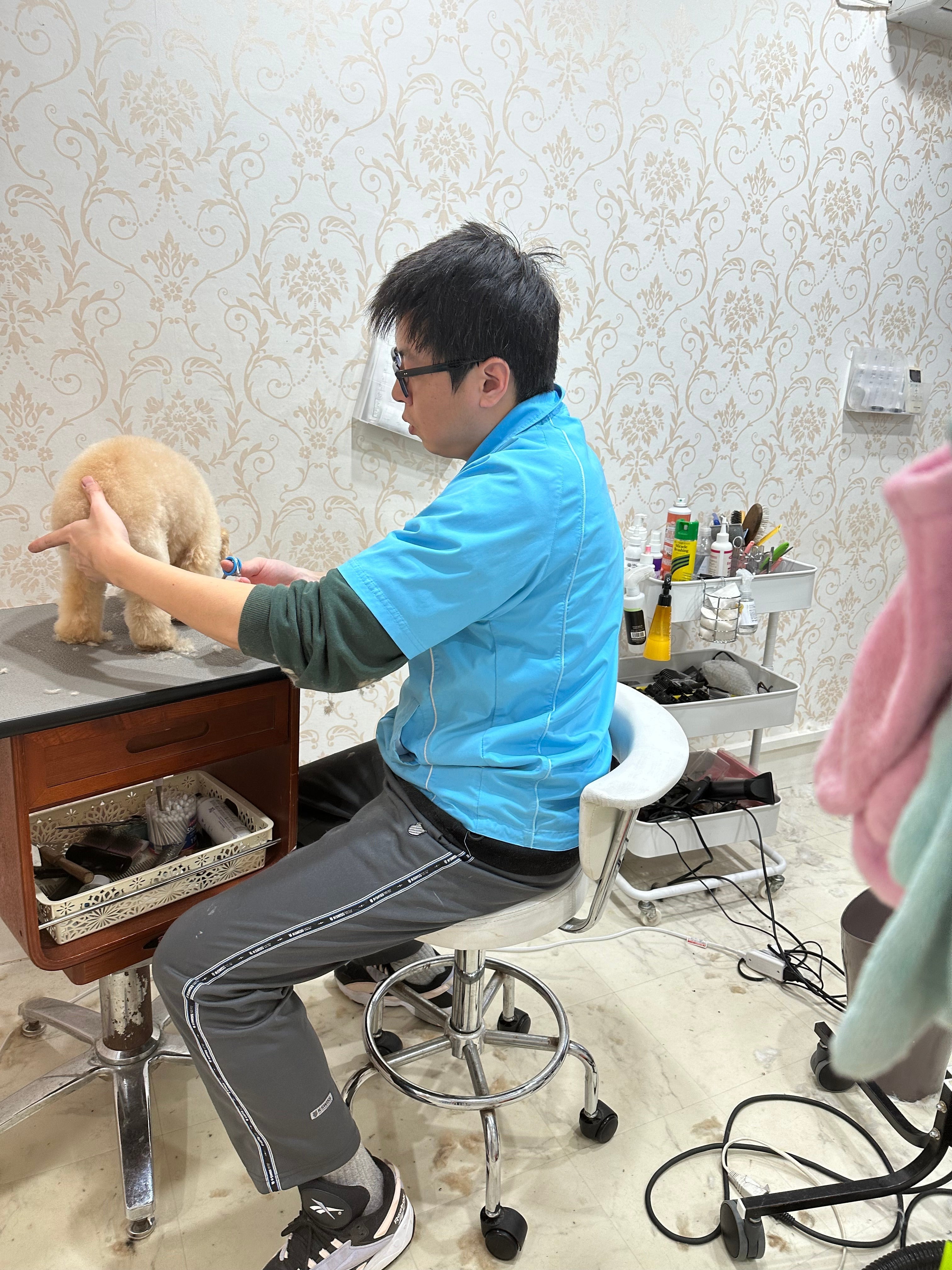 Images ドッグサロン オーフル