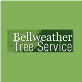Bellweather Tree Service