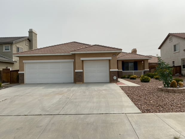 Images Stanton Lewis - Elevate Real Estate Agency