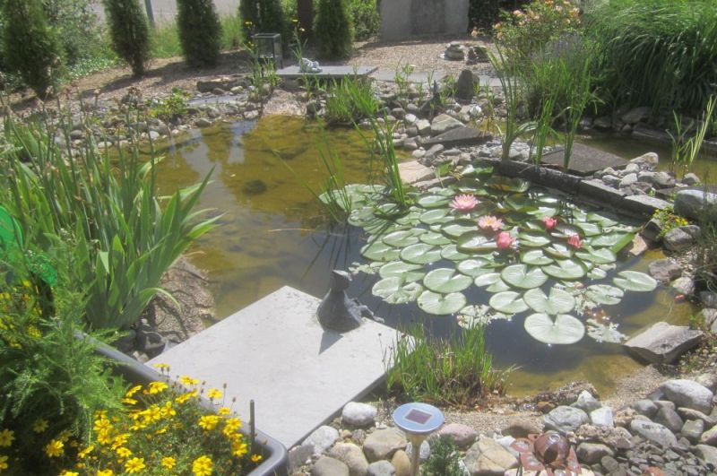 Bilder Wagner Gärten GmbH