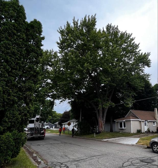 Images Seasonal Property Maintenance