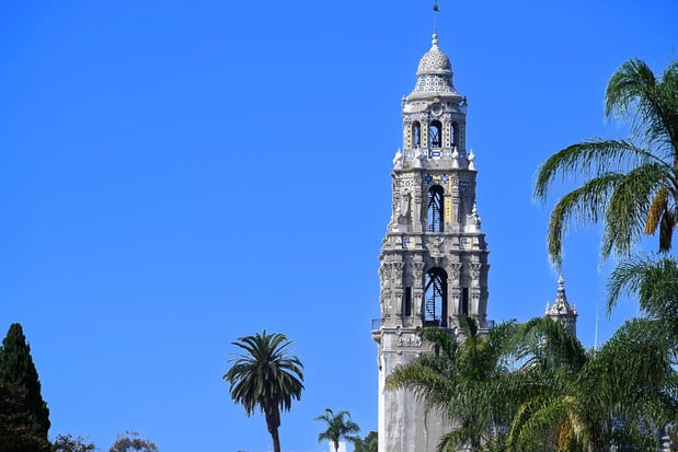 Images My Canvas Portraits