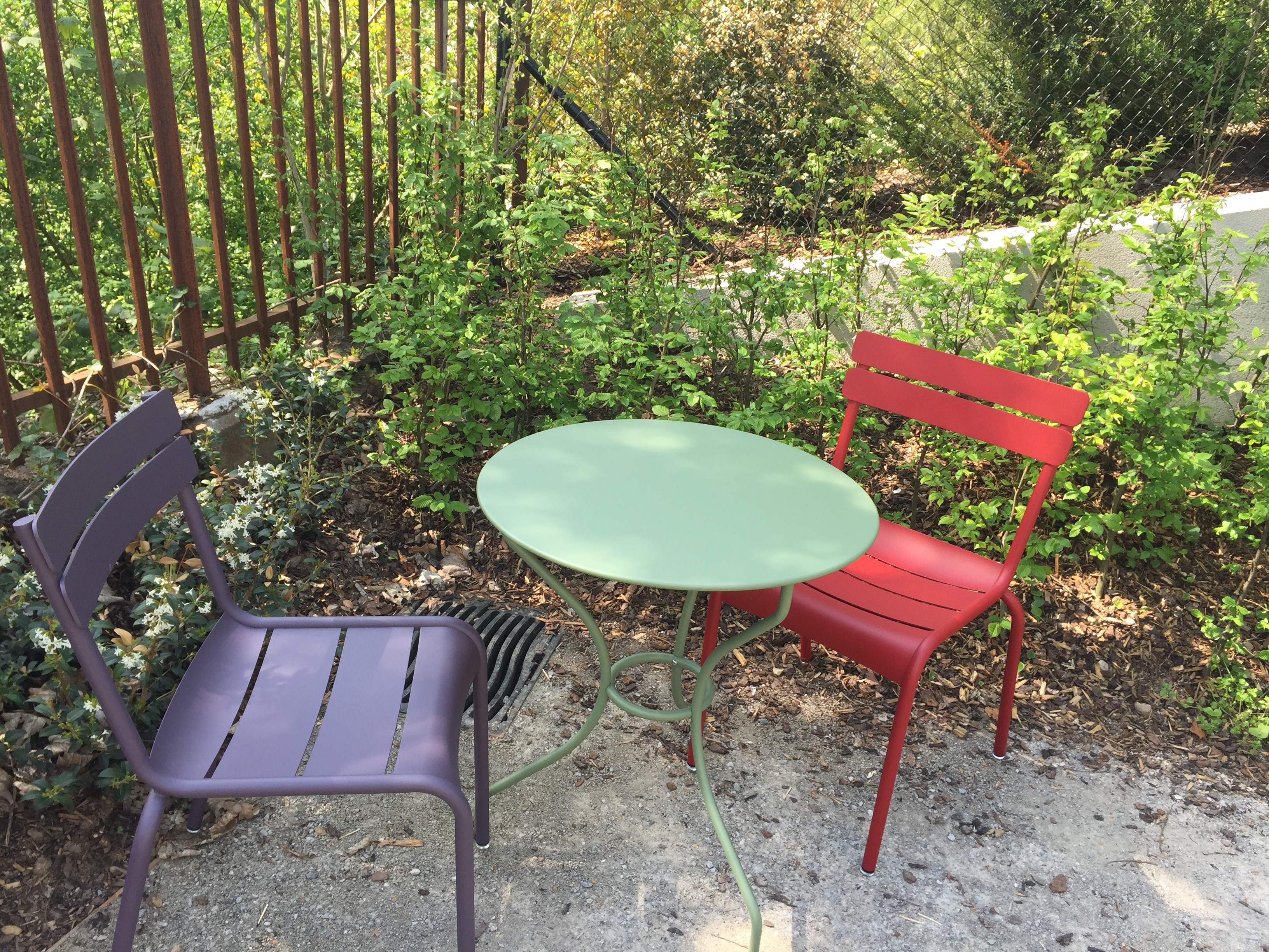 Bilder Neue Schule Zürich / NSZ