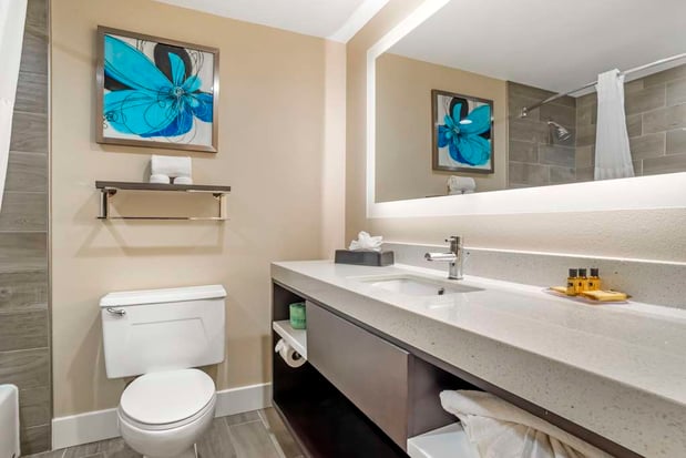 Images Best Western Plus Greenville I-385 Inn & Suites