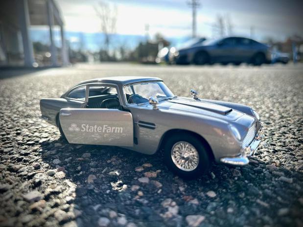 Images Laura San Nicolas - State Farm Insurance Agent