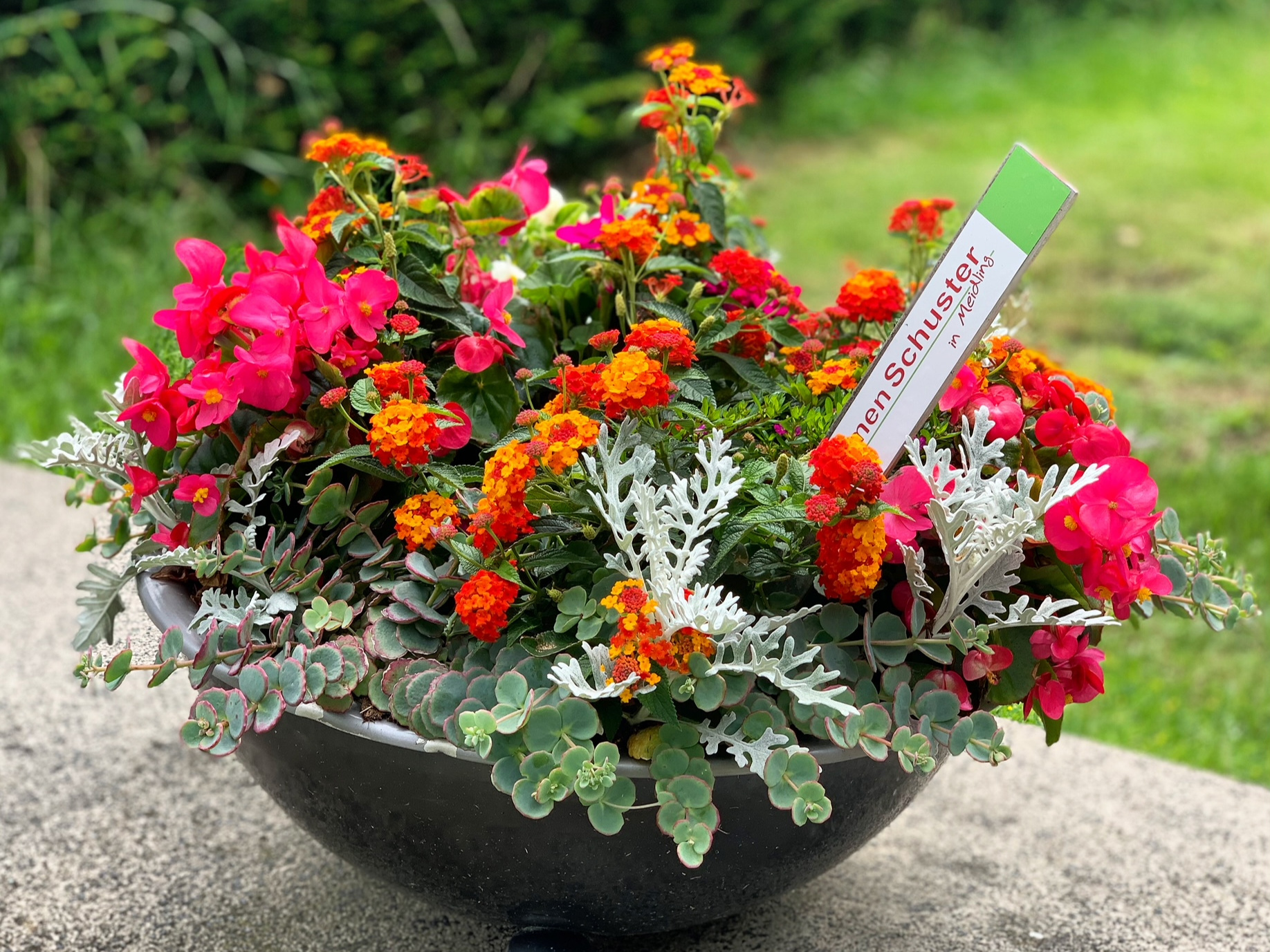 Bild 4 von Blumen Schuster in Meidling - Christine Schuster