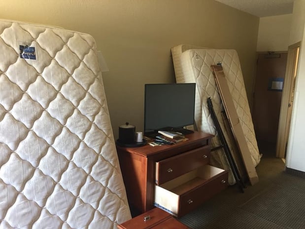Images AAA Pest Control