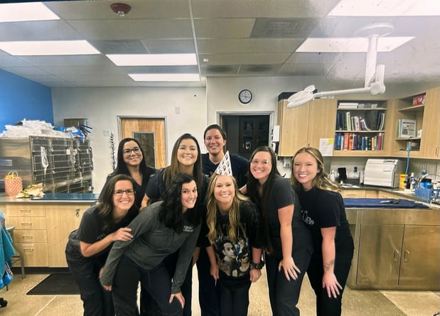 Images Vetco Total Care Animal Hospital