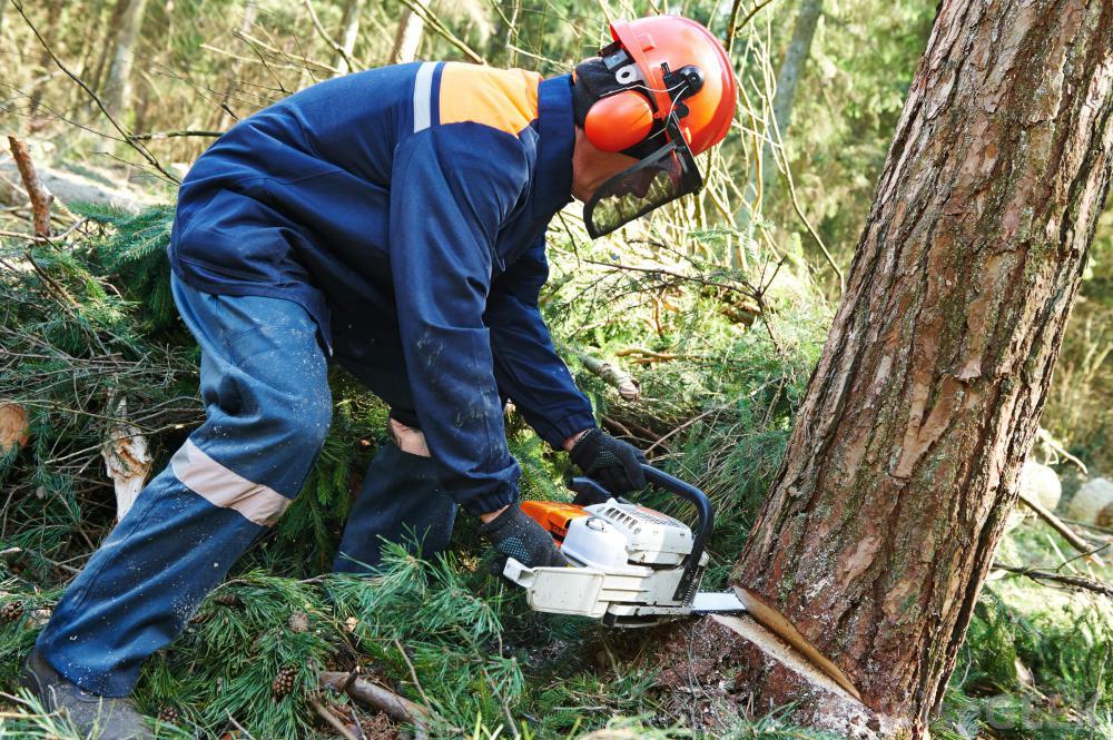 Countryside Training & Tree Management Ltd Stafford 01785 246974