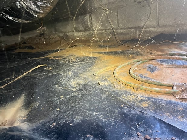 Images Ox Foundation Solutions