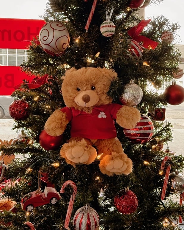 Images Tatiana Vogelaar - State Farm Insurance Agent