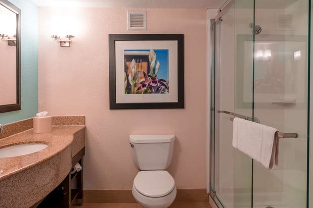 Images Hilton Garden Inn Orlando East/UCF Area