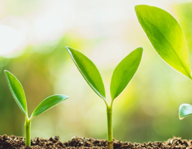 Naturheilpraxis Dolfi GmbH, Husmatt 2 in Dättwil AG