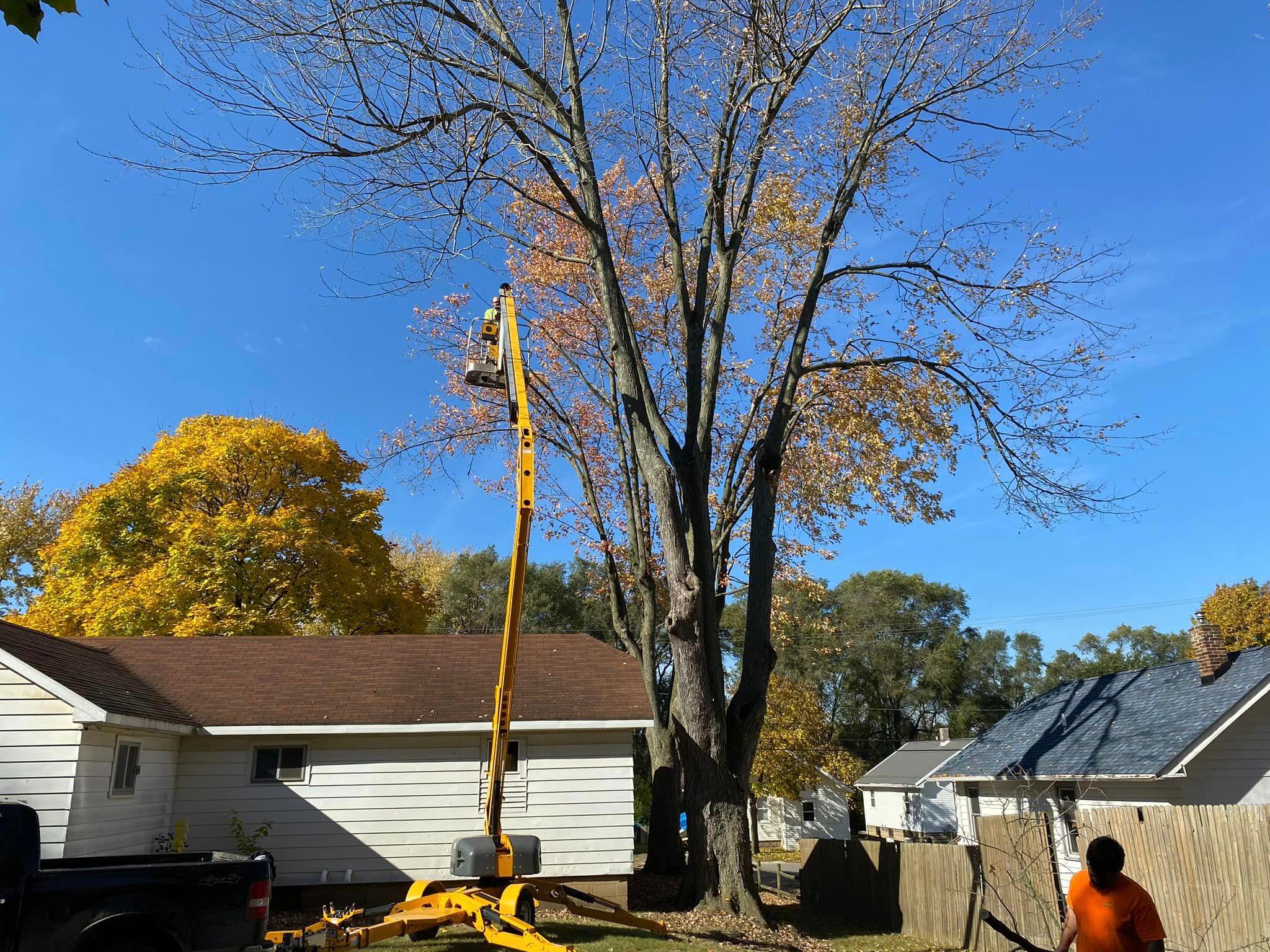 Michigan Tree Pros