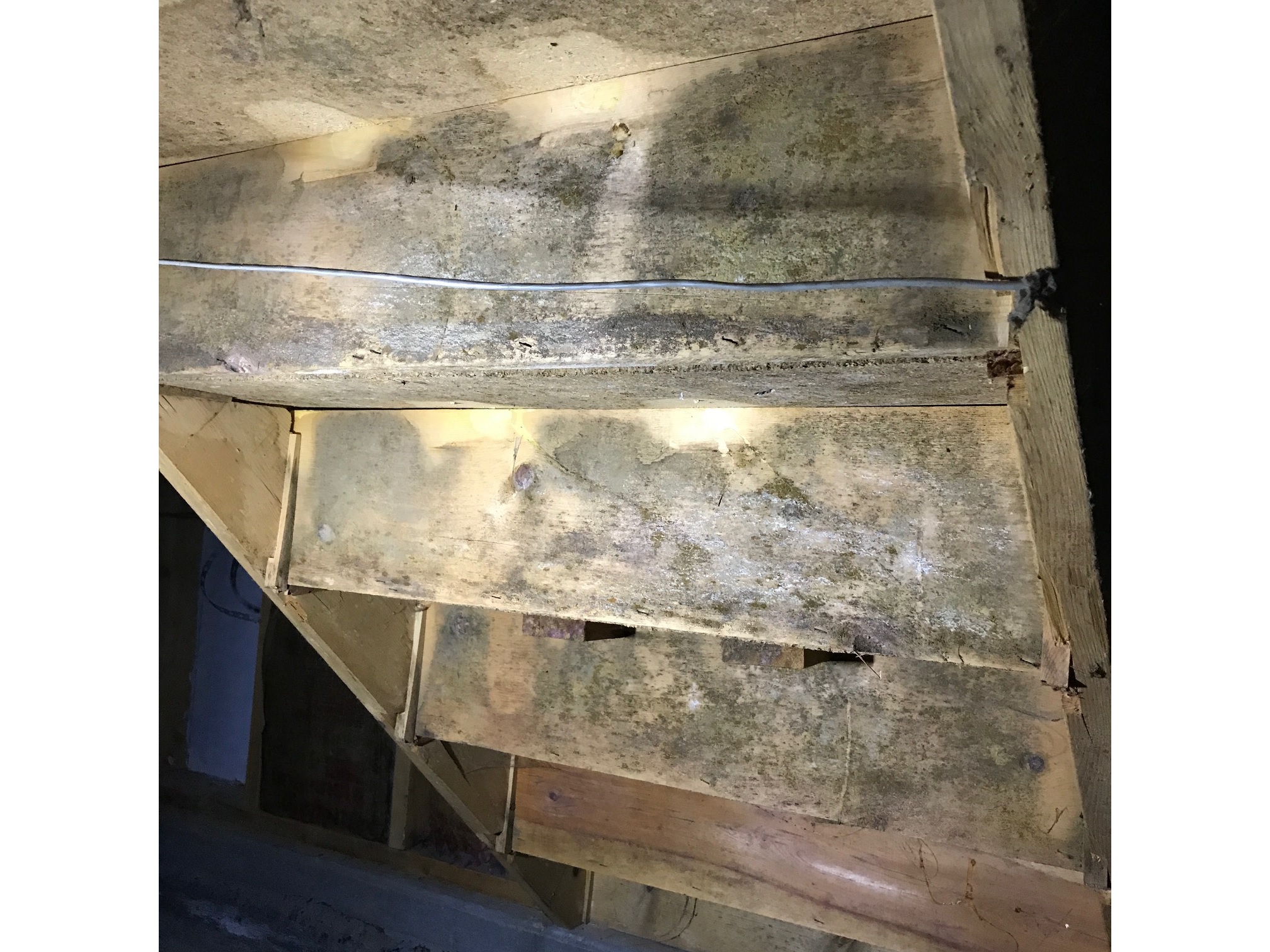 Mold on staircase before cleaning