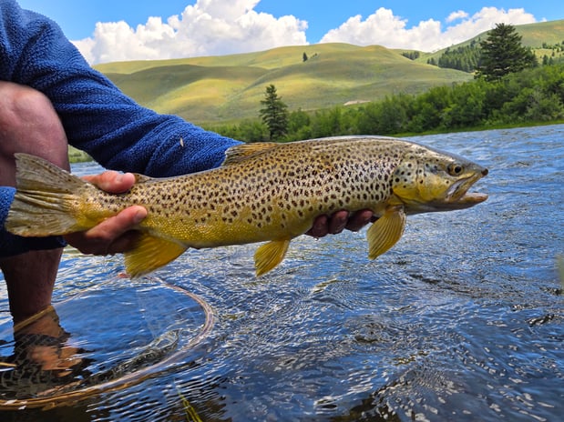 Images Evan Hill: Allstate Insurance