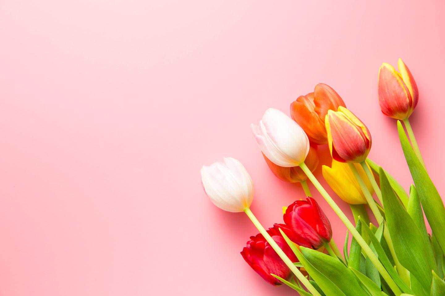 Blumen
Blumen sind ein Kompliment, manchmal auch an uns selbst.

Bringen Sie Farbe ins Leben:
Ob als bunte Überraschung oder zum Geburtstag, bei uns finden Sie für jeden Anlass den passenden Strauß oder eine Topfblume.