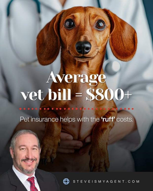 Images Steven Manuel - State Farm Insurance Agent