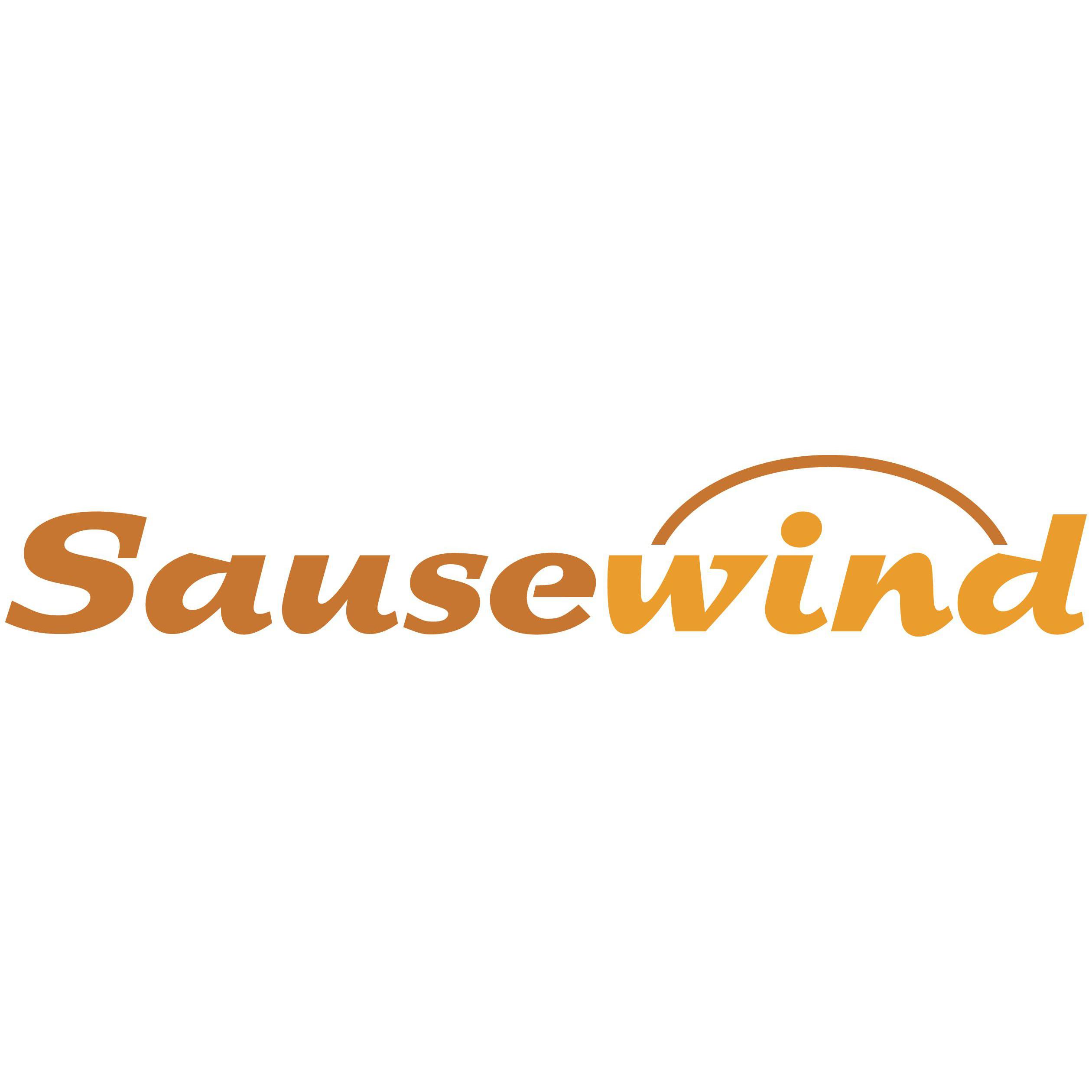 Logo Sausewind Oldenburg GmbH