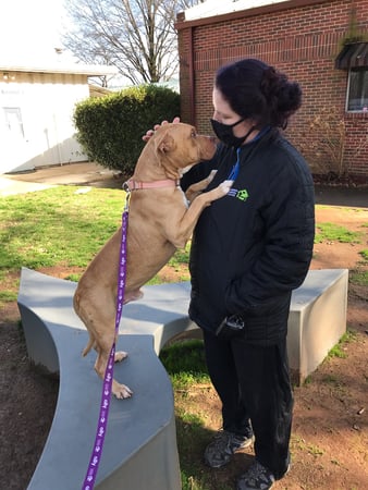 Images The Humane Society of Charlotte