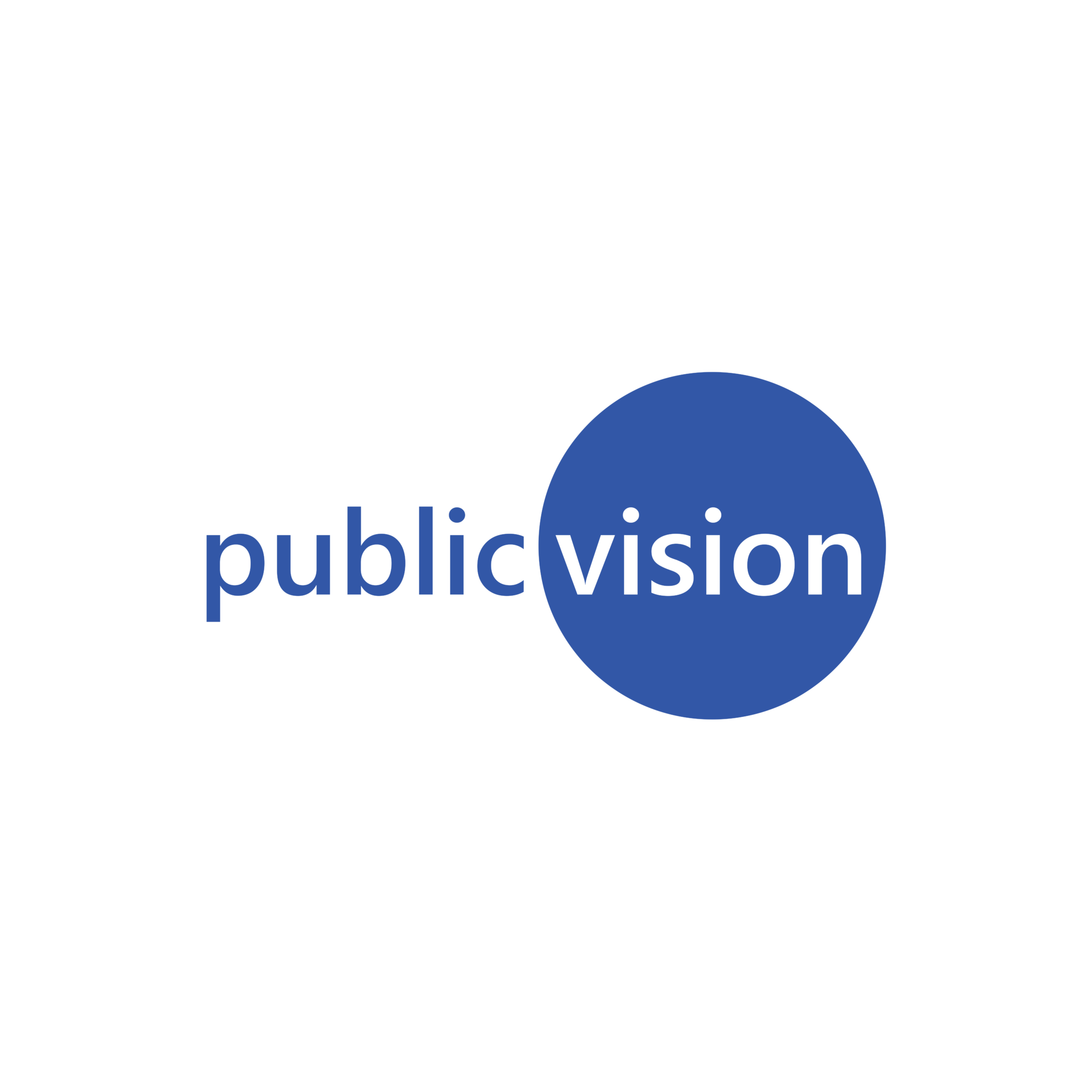 Logo, public vision Medien