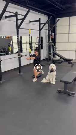 Images Bulletproof Physical Therapy