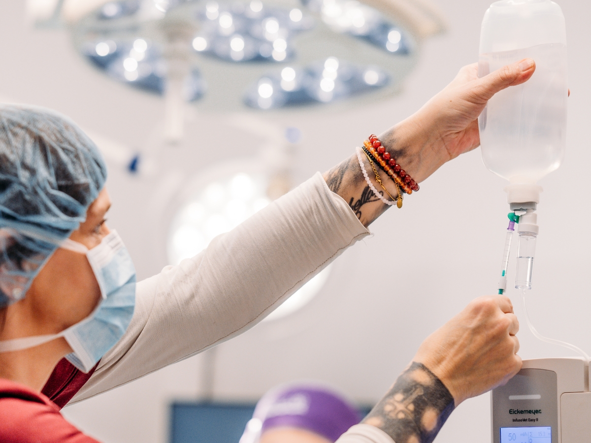 Bilder Tierarzt Vormum Berlin-Mahlsdorf, Tierarztpraxis am Wildrosengehölz