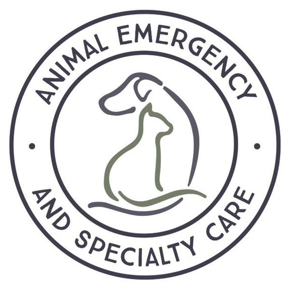 Animal Emergency Clinic - Portland, ME 04103 - (207)878-3121 | ShowMeLocal.com