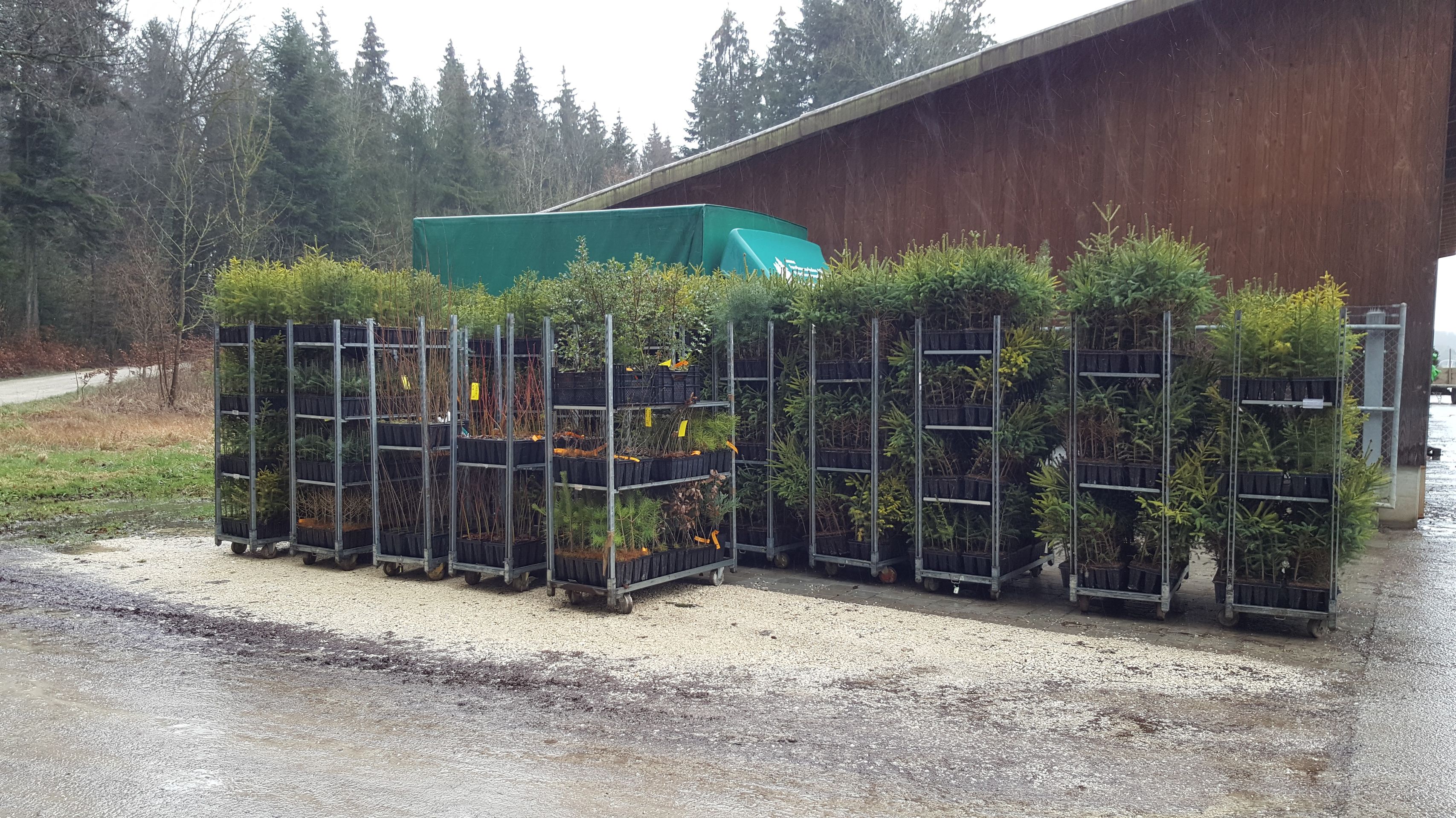 Emme Forstbaumschulen AG, Schachen 9 in Wiler b. Utzenstorf