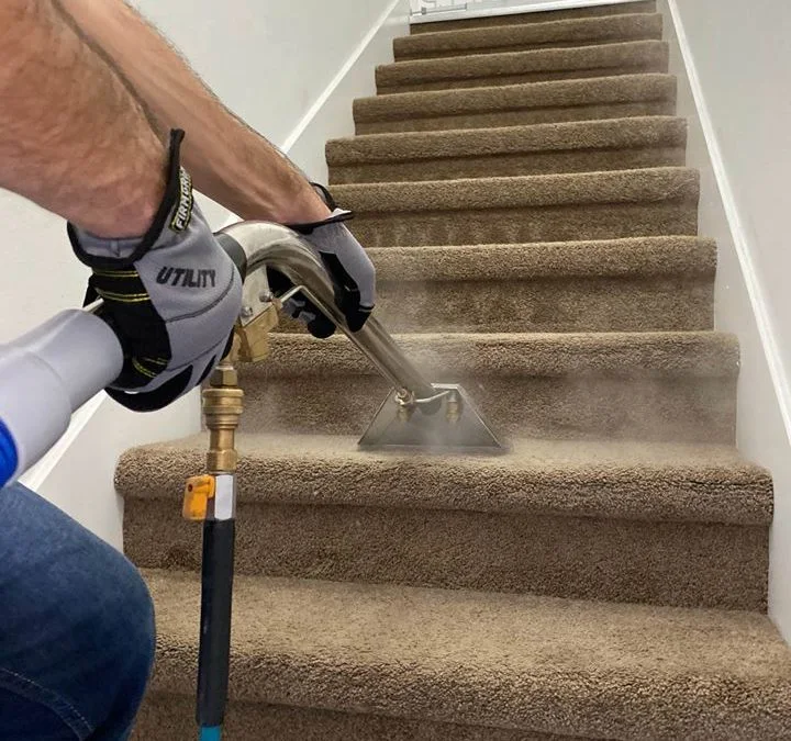 Oasis Carpet & Upholstery
