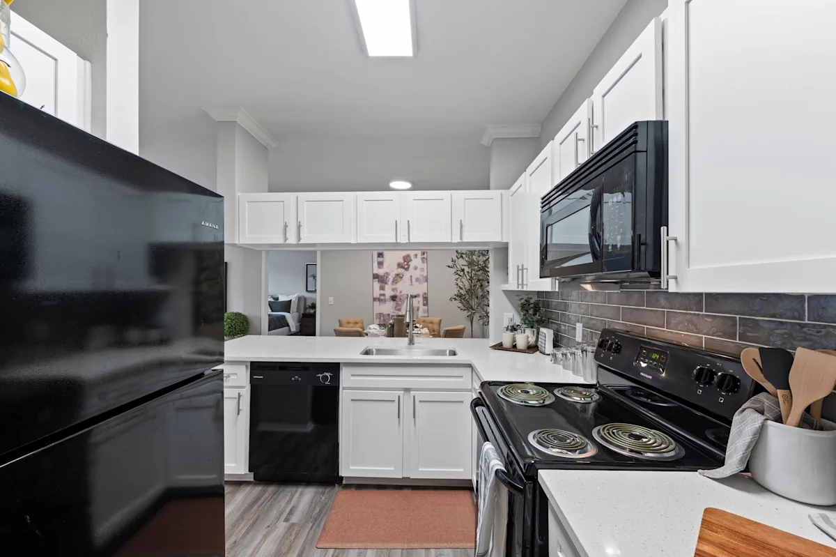 Luxurious Kitchen 