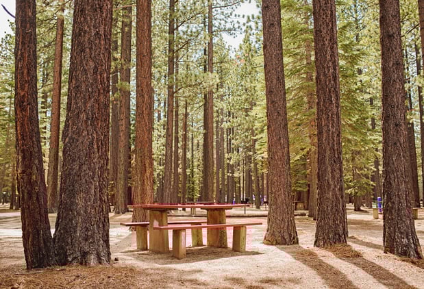 Images Tahoe Valley Campground