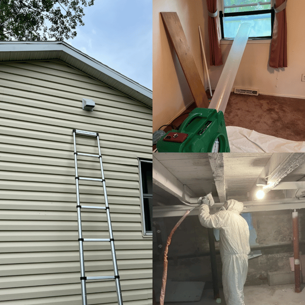 Images Quality Mold Remediation LLC