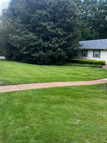 Images Greenway Lawn Care