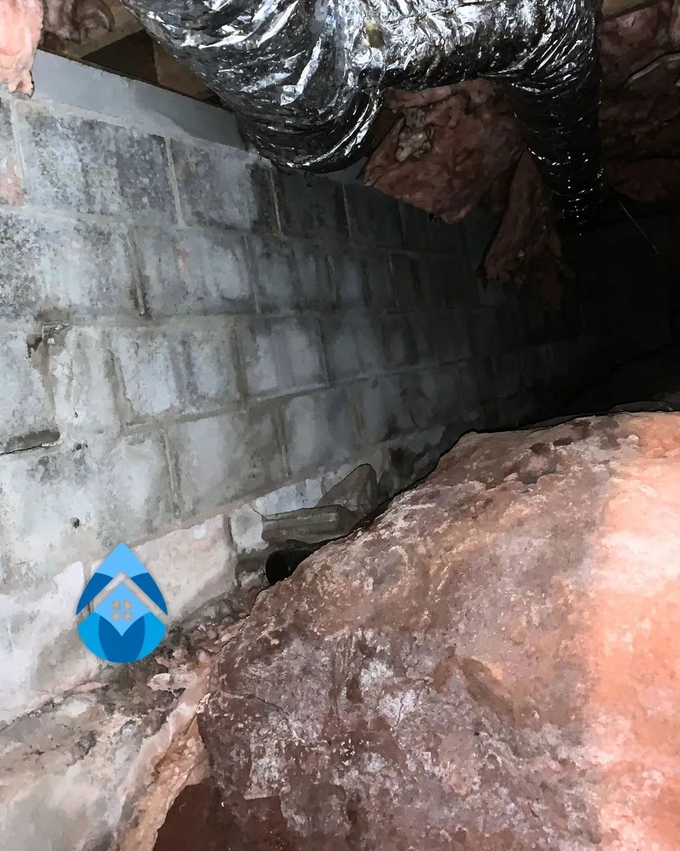 Concrete block basement corner showing visible water staining, moisture intrusion, and dark discoloration along mortar joints. These signs often indicate foundation seepage or waterproofing failure.
