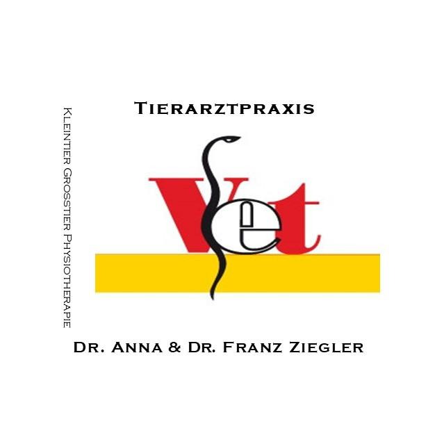 Dipl-TA Dr. Franz Ziegler Logo