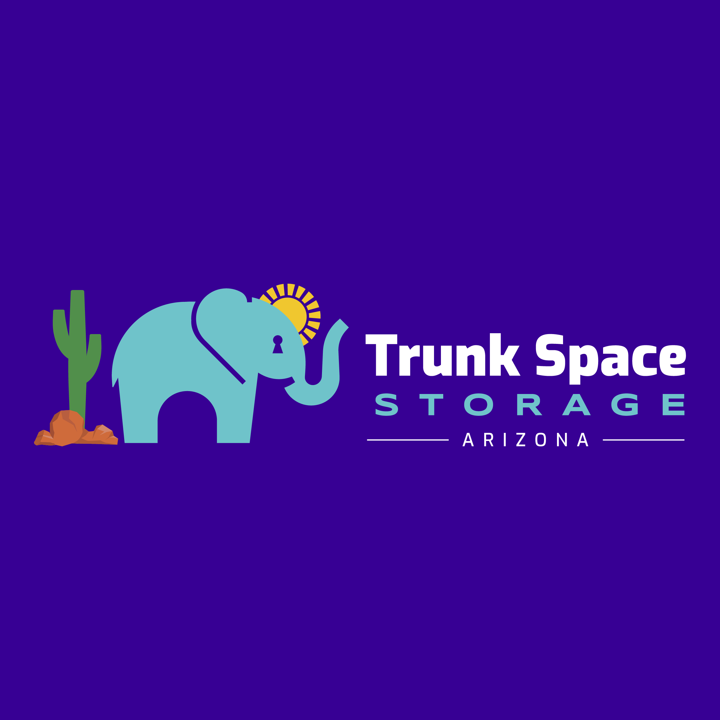Trunk Space Storage