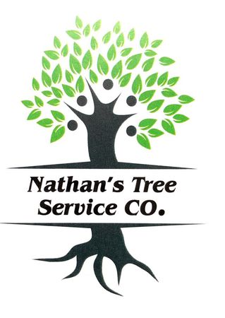 Images Nathan's Tree Services