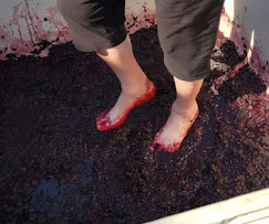 Images Hidden Hills Vineyard and Winery