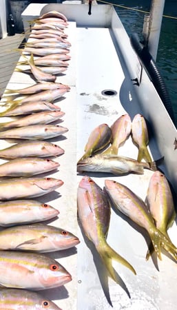 Images Cowboy Cowgirl SportFishing Charters