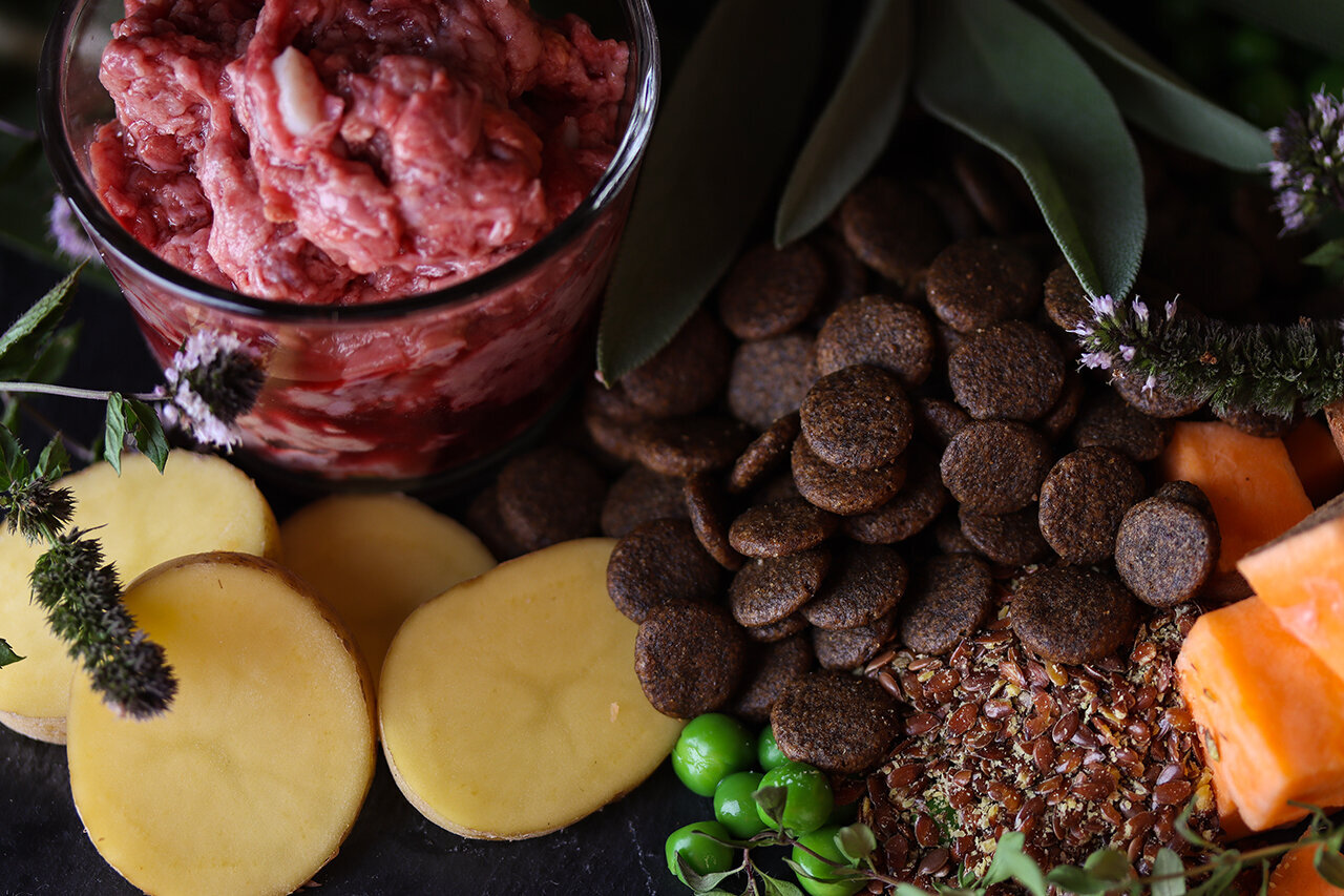 Bilder Green Pet Shop