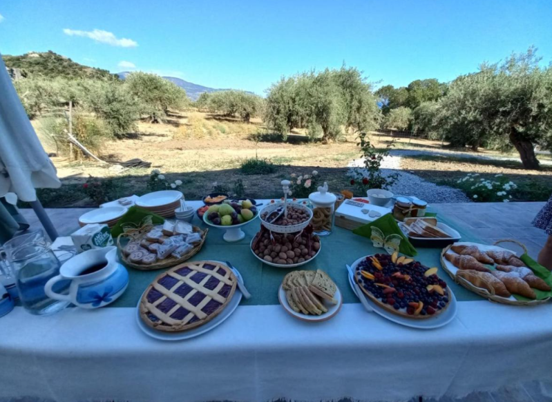 Images L' Albero della Manna Azienda Agricola