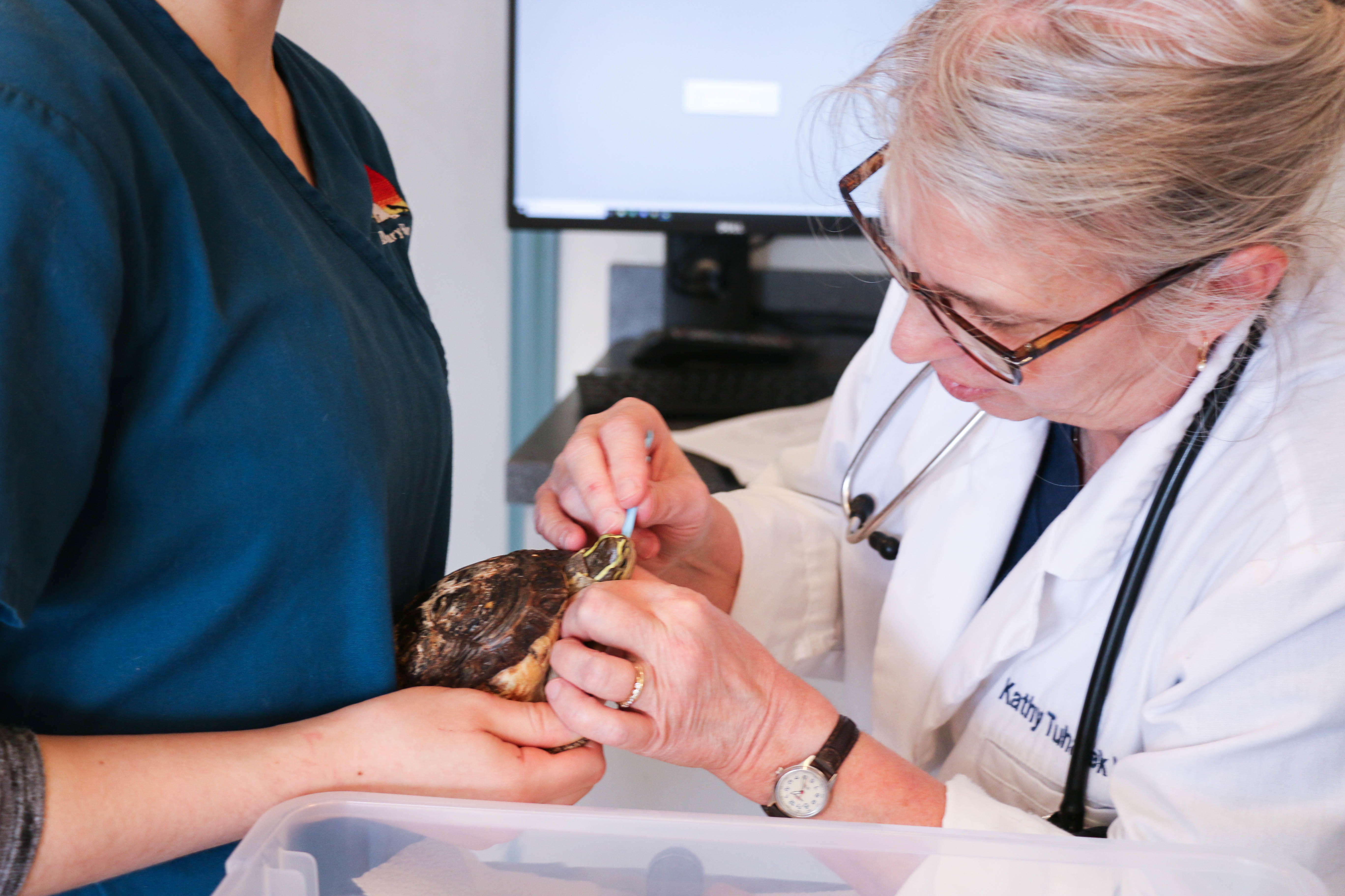 Dublin Veterinary Hospital Photo