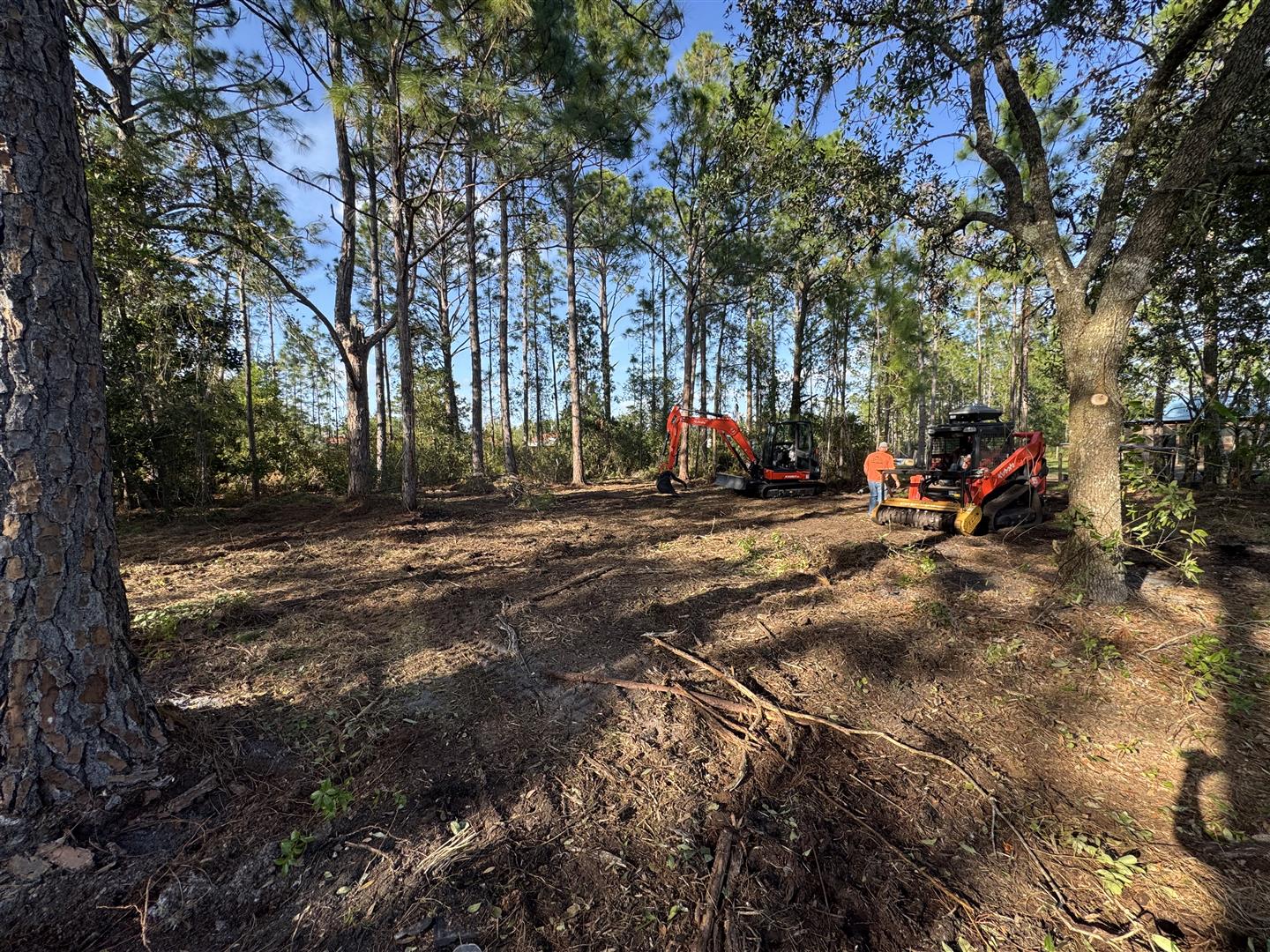 At Wise Choice GFC, we specialize in forestry mulching services that help manage overgrown vegetation and maintain healthy land. Our efficient solutions support landowners in clearing and maintaining properties while promoting environmental sustainability.