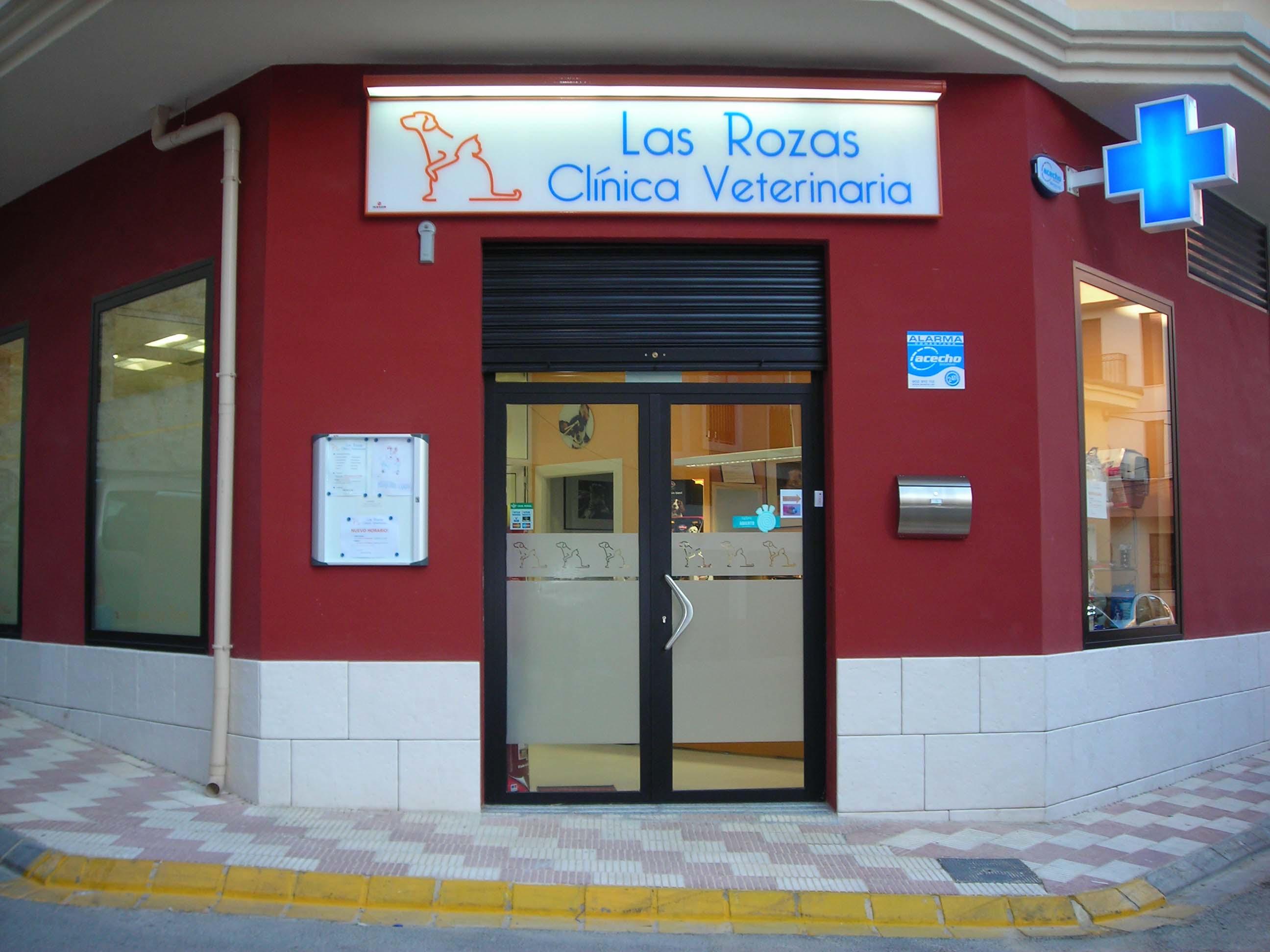 Images Las Rozas Clinica Veterinaria